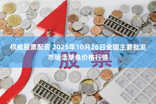 权威股票配资 2025年10月26日全国主要批发市场活草鱼价格行情