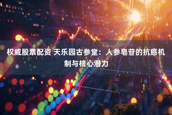 权威股票配资 天乐园古参堂：人参皂苷的抗癌机制与核心潜力